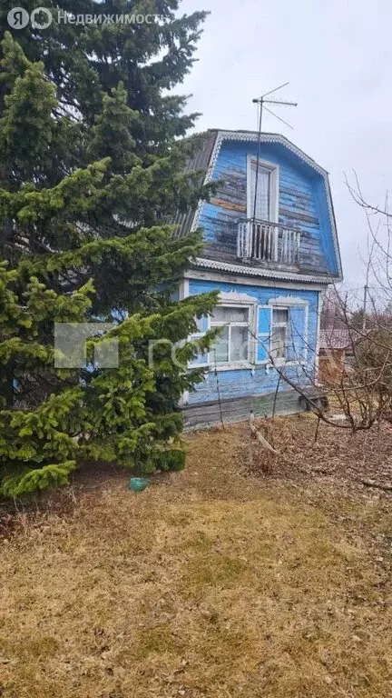 Дом в Колыванский район, СНТ Электрон, Озёрная улица, 12 (42 м) - Фото 0