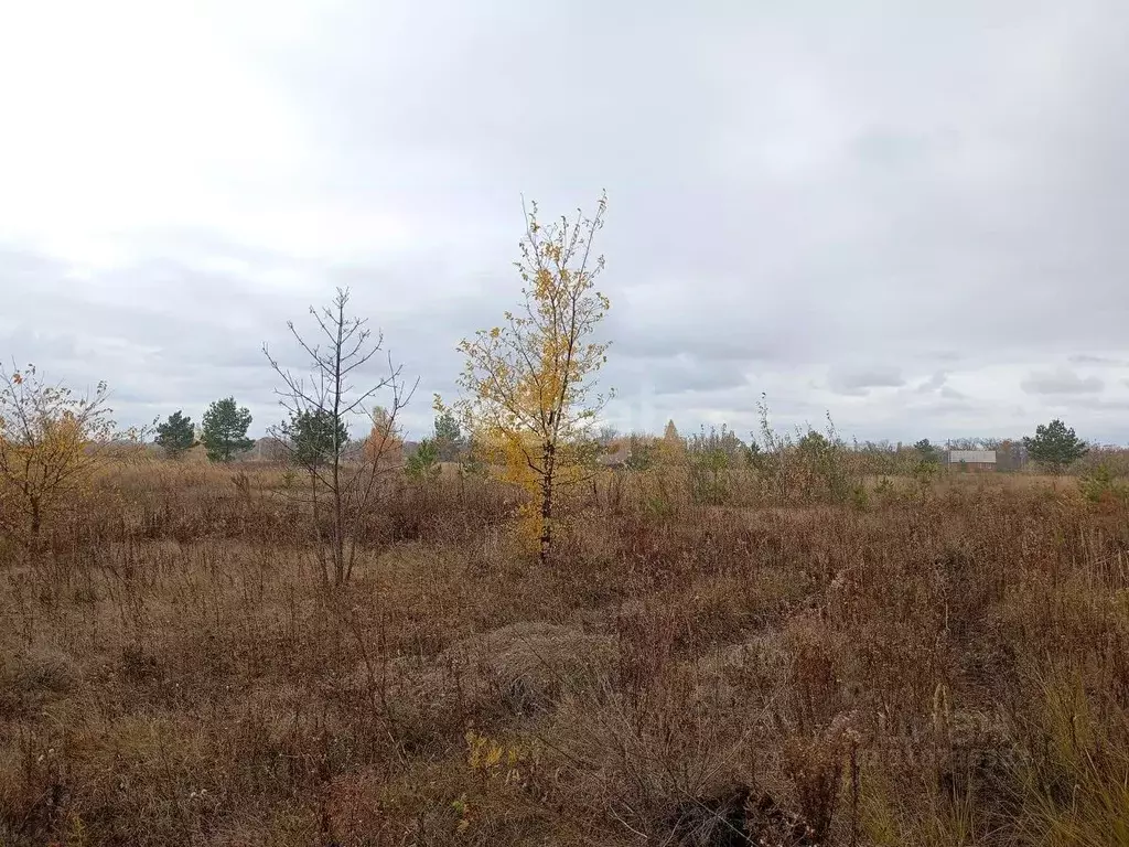 Участок в Воронежская область, с. Верхняя Хава ул. Новопокровская ... - Фото 1