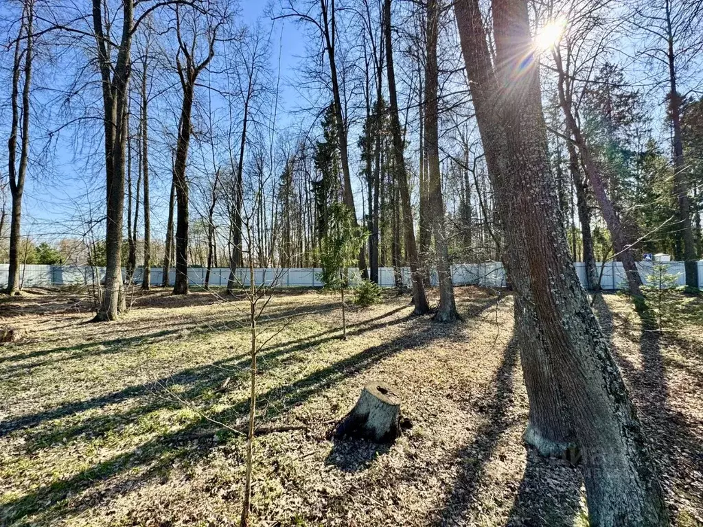 Участок в Московская область, Мытищи городской округ, пос. ... - Фото 1