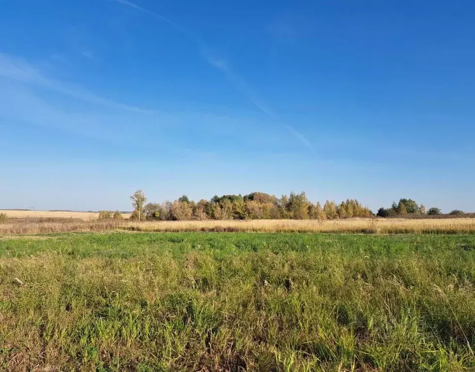Участок в Московская область, Кашира городской округ, д. Никулино  ... - Фото 0