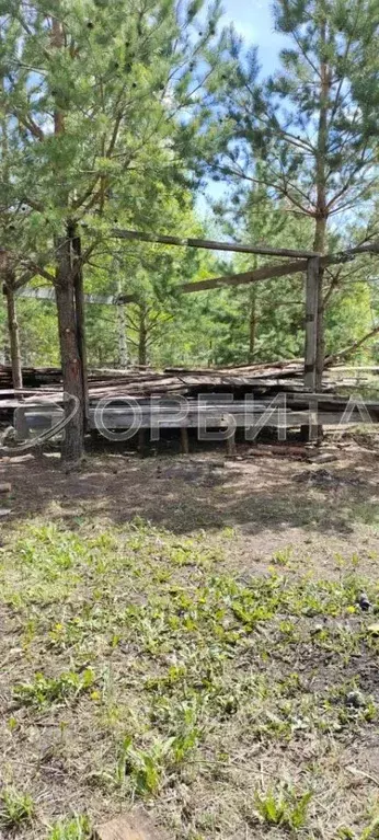 Участок в Тюменская область, Ялуторовский район, с. Сингуль Татарский ... - Фото 1