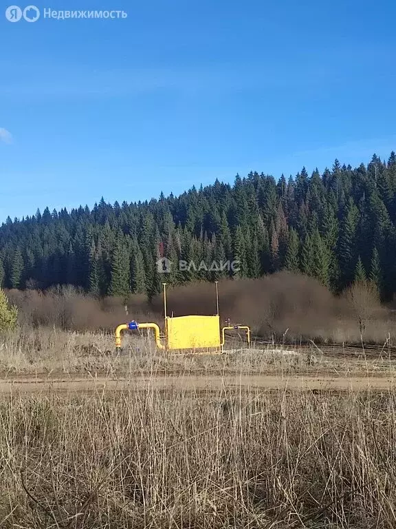 Участок в Пермский муниципальный округ, село Курашим (10.63 м) - Фото 2