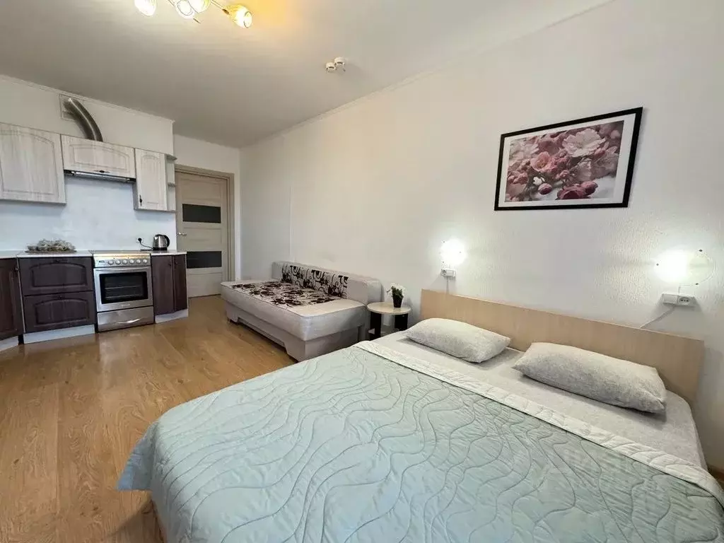 Студия Санкт-Петербург просп. Энергетиков, 9к6 (27.0 м) - Фото 0