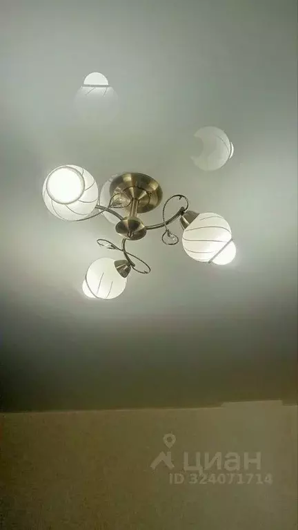 1-к кв. Краснодарский край, Краснодар пос. Российский, ул. Тепличная, ... - Фото 2