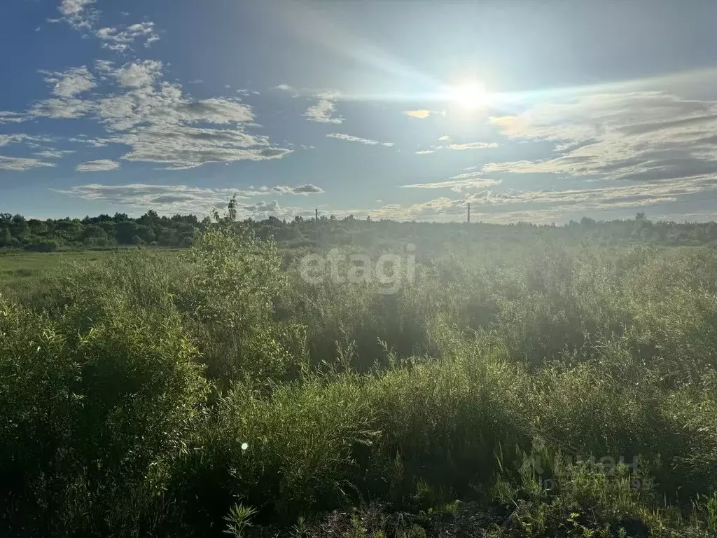 Участок в Амурская область, Благовещенский район, Станичное тер.  ... - Фото 0