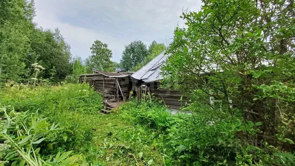 Участок в Вологодская область, Грязовецкий муниципальный округ, д. ... - Фото 2
