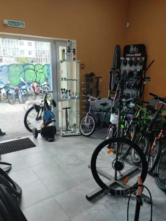 Торговая площадь в Калининградская область, Гурьевск бул. Пражский, 3В ... - Фото 2