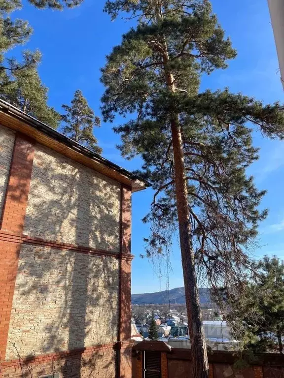 Дом в Самарская область, Тольятти ул. Федора Наумова, 37 (192 м) - Фото 2