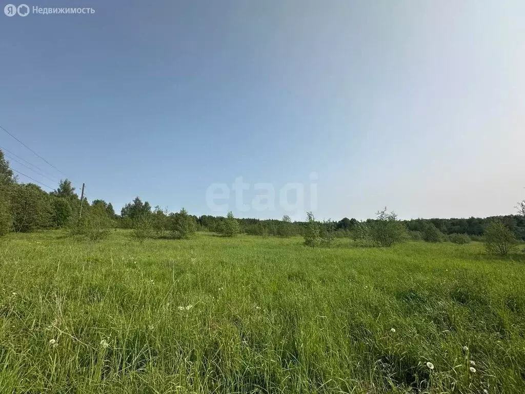 Участок в Ярославская область, Некрасовский муниципальный округ, ... - Фото 2