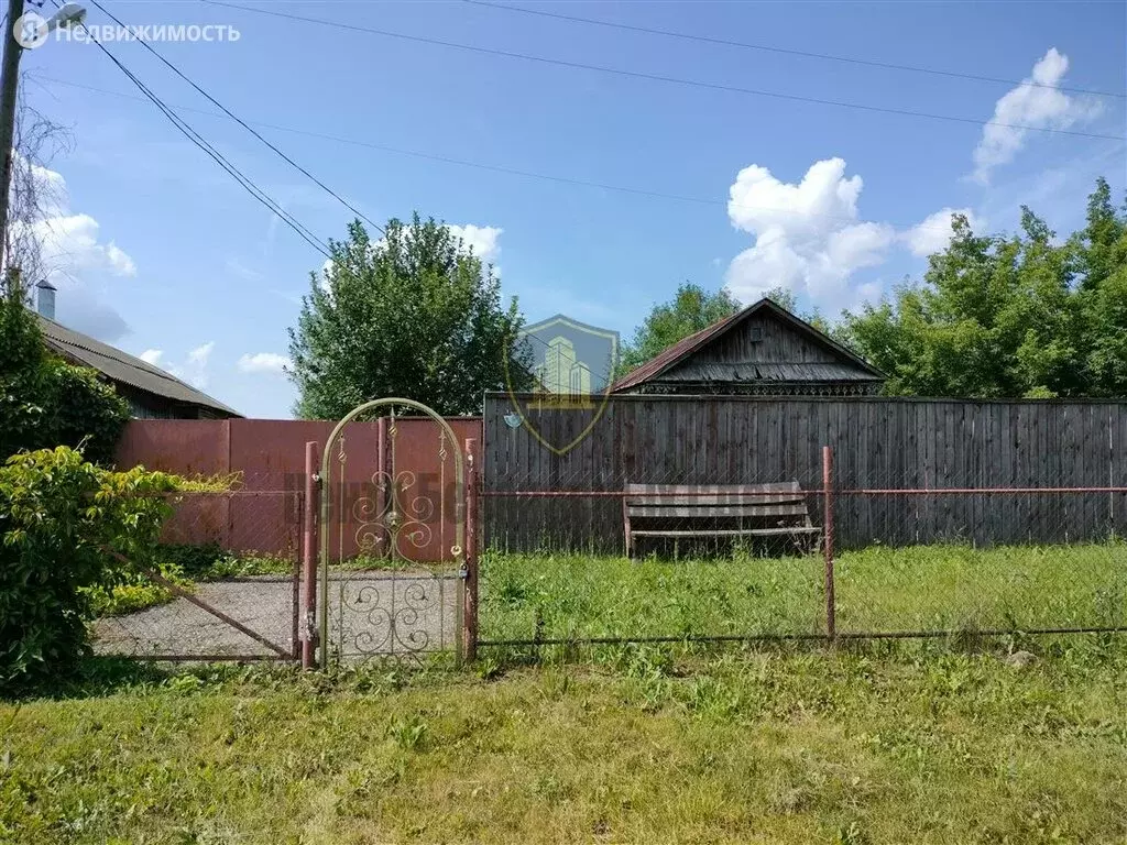 Село Новоберезово Рязанской Области Сасовского Района Фото