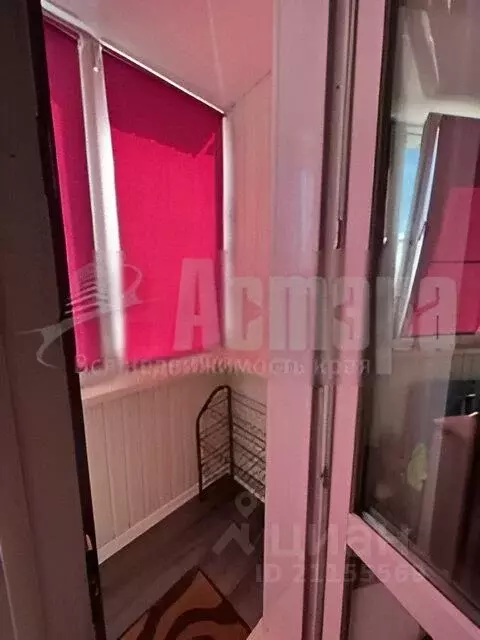 Студия Забайкальский край, Чита ул. Весенняя, 40 (24.0 м) - Фото 1