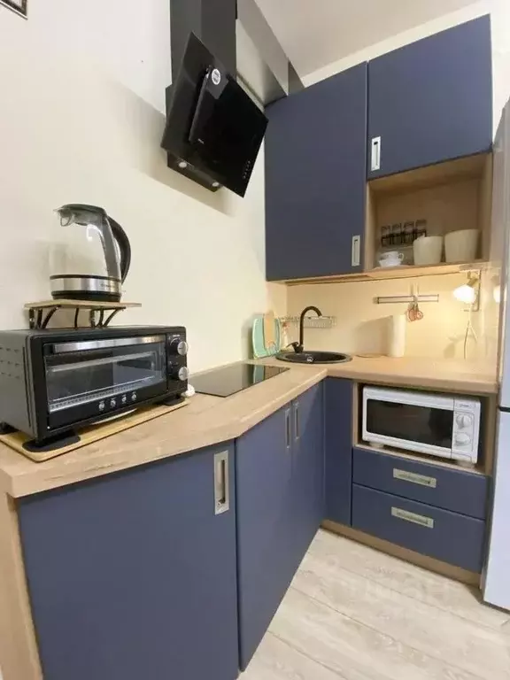 Студия Ленинградская область, Мурино Всеволожский район, бул. ... - Фото 2