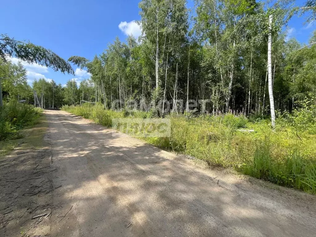 Участок в Ярославская область, Переславль-Залесский муниципальный ... - Фото 1