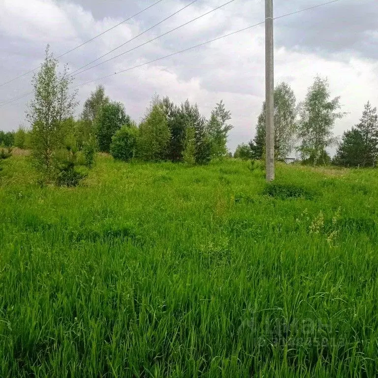 Участок в Тверская область, Калининский муниципальный округ, д. ... - Фото 0