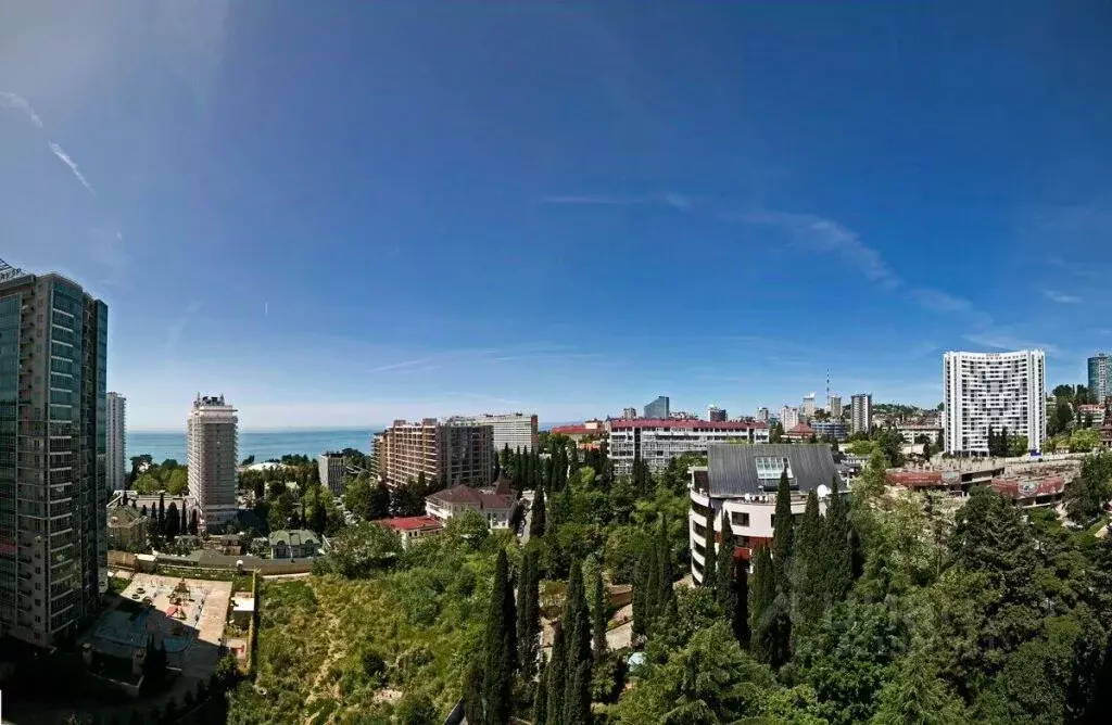 1-к кв. Краснодарский край, Сочи Курортный просп., 75Д (60.0 м) - Фото 1