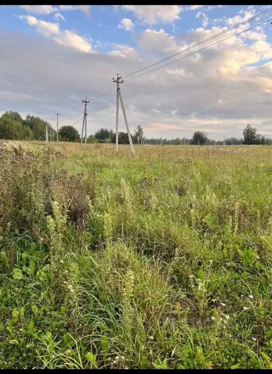 Участок в Нижегородская область, Дальнеконстантиновский муниципальный ... - Фото 2