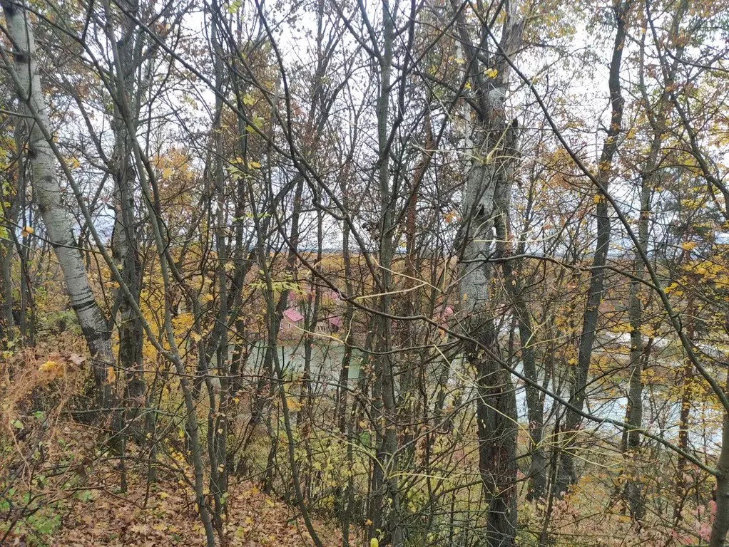 Участок в Воронежская область, Рамонский район, Карачунское с/пос, д. ... - Фото 2