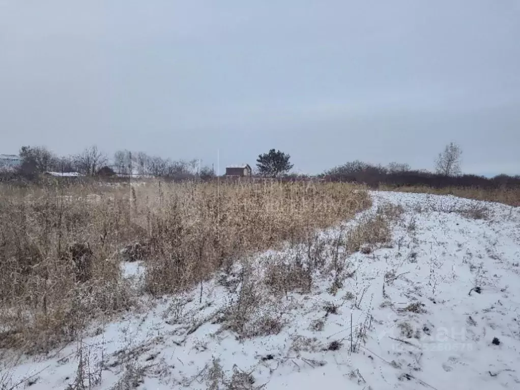 Участок в Тюменская область, Тюменский муниципальный округ, ... - Фото 1