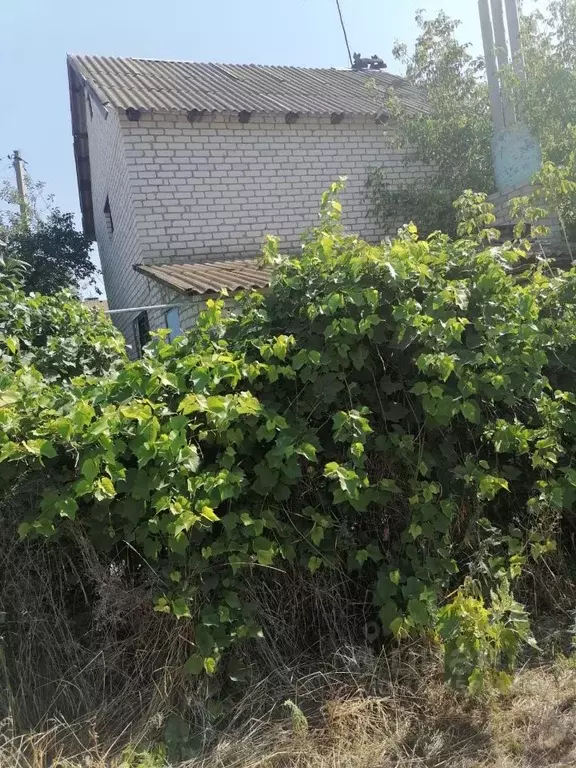 Дом в Волгоградская область, Городищенский район, Песковатка хут. ул. ... - Фото 1