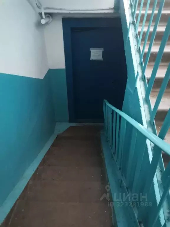 1-к кв. Омская область, Омск Крыловская ул., 27 (30.0 м) - Фото 1