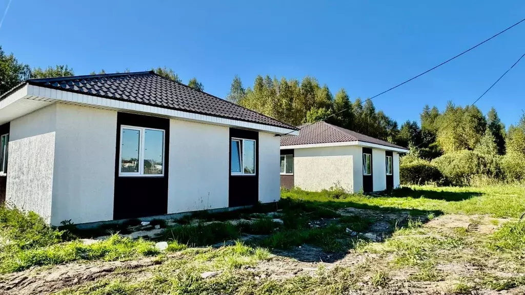 Дом в Нижегородская область, Богородский муниципальный округ, д. Пруды ... - Фото 1