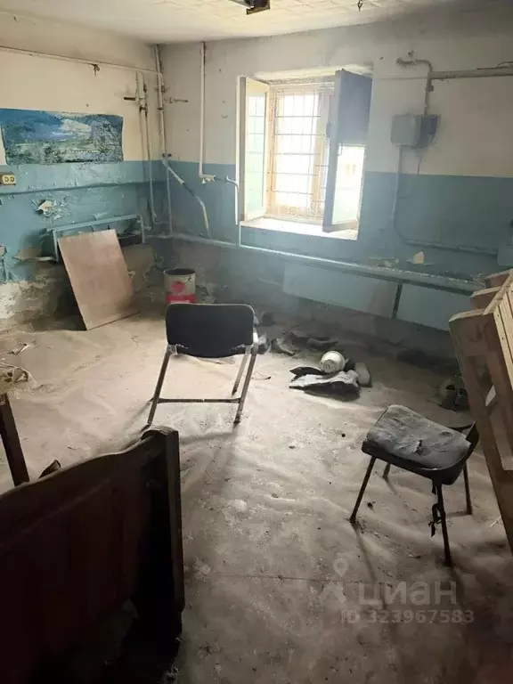 Помещение свободного назначения в Омская область, Омск ул. Куйбышева, ... - Фото 1