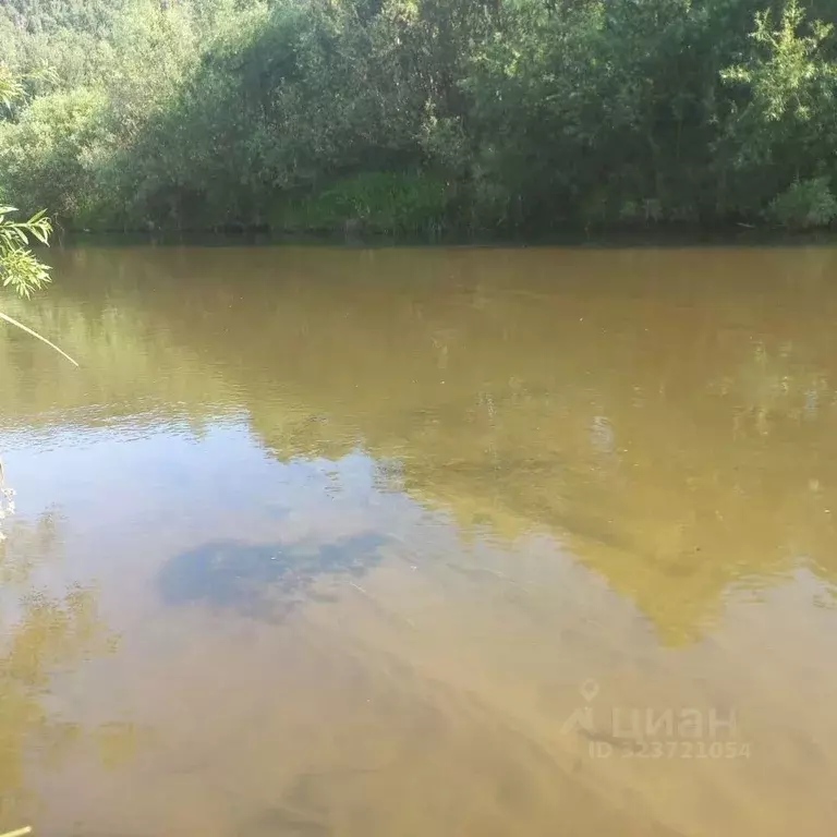 Участок в Алтайский край, Косихинский район, с. Косиха Береговая ул., ... - Фото 2