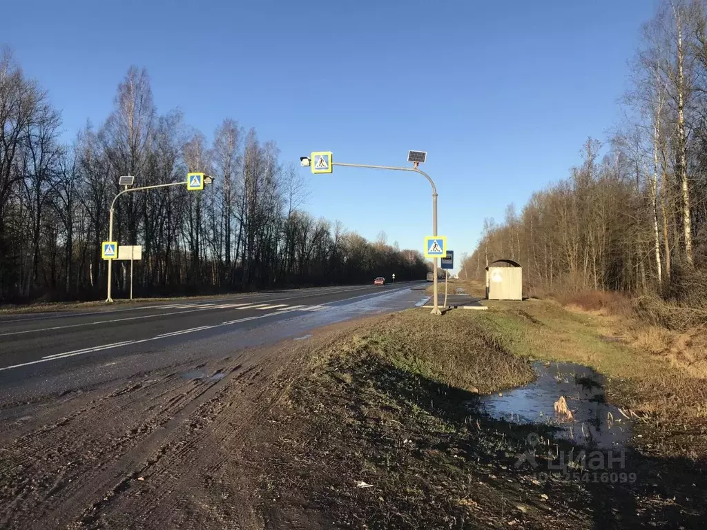 Участок в Псковская область, Палкинский район, Черская волость, с. ... - Фото 1