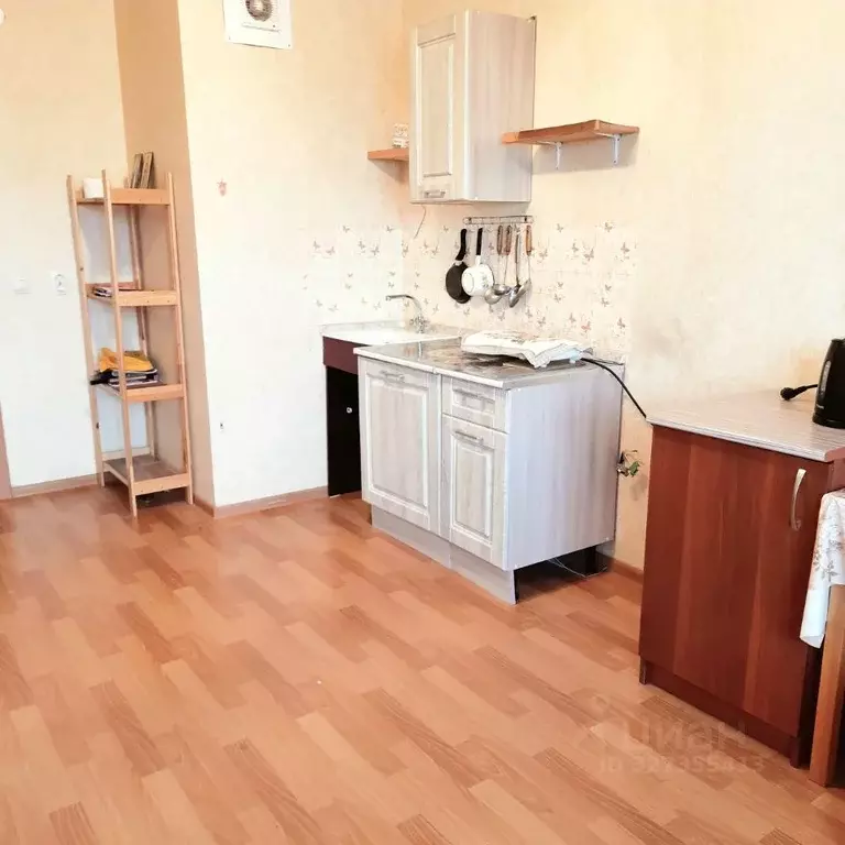 Студия Санкт-Петербург просп. Юнтоловский, 45к1 (24.0 м) - Фото 2