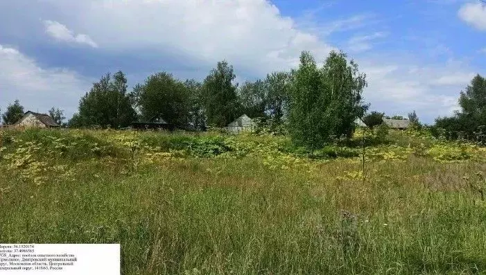 Участок в Московская область, Дмитровский муниципальный округ, пос. ... - Фото 0