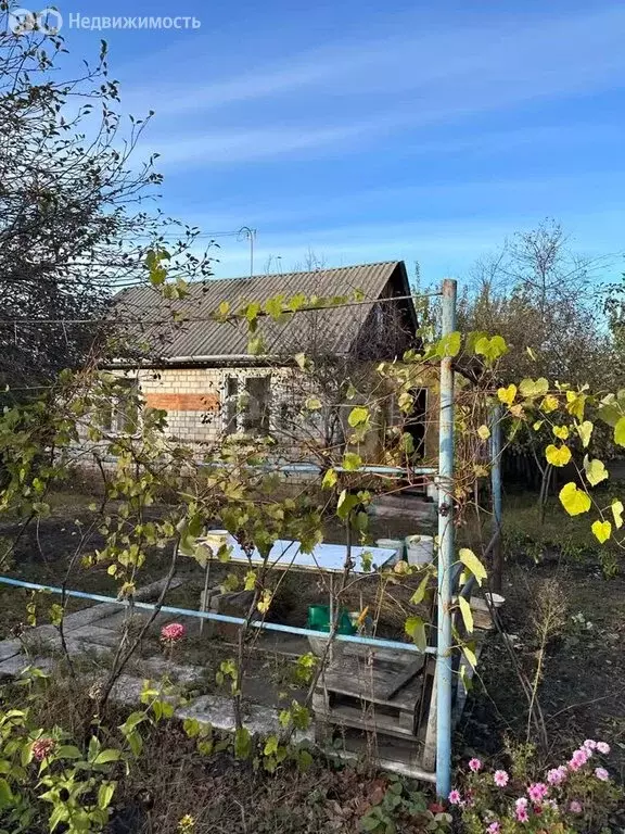 Дом в Воронеж, СНТ Садовод ВАСО (36 м) - Фото 0