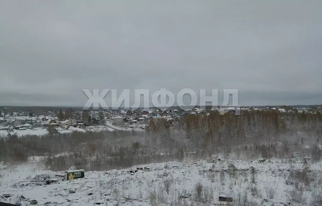 1-к кв. Новосибирская область, Новосибирский район, Каменский ... - Фото 1