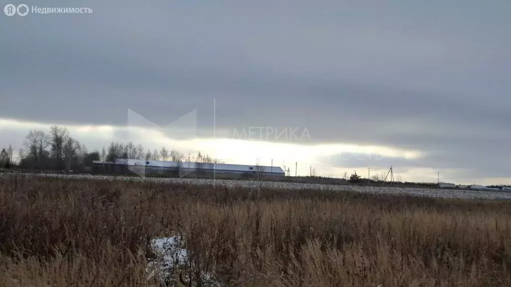 Участок в Борки, Филиновская улица, 7 (29.3 м) - Фото 2