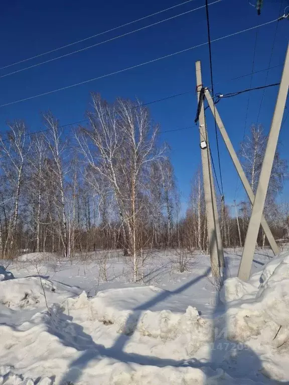 Участок в Новосибирская область, Новосибирск 2-й Биатлонный пер. (6.7 ... - Фото 0