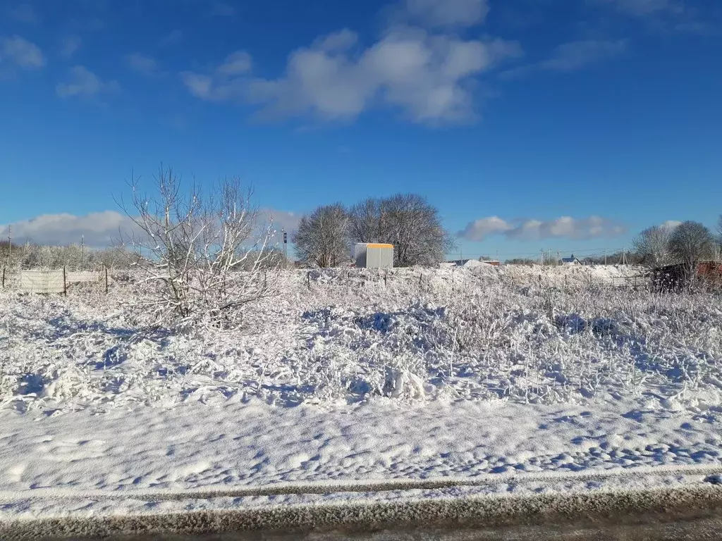 Участок в Ленинградская область, Волосовский район, Клопицкое с/пос, ... - Фото 1