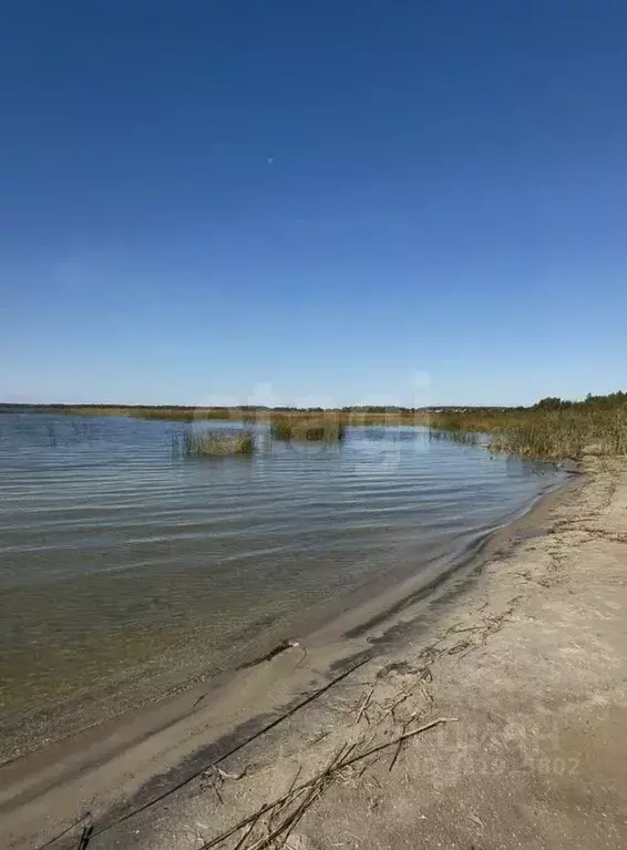 Участок в Челябинская область, Красноармейский муниципальный округ, д. ... - Фото 1