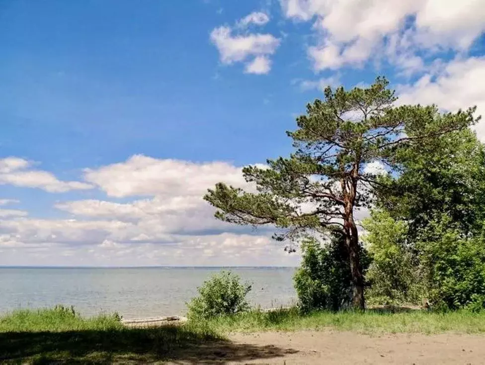 Участок в Новосибирская область, Новосибирский район, с. Боровое ул. ... - Фото 0