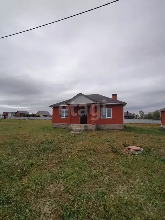 Дом в Белгородская область, Яковлевский городской округ, с. Терновка ... - Фото 0