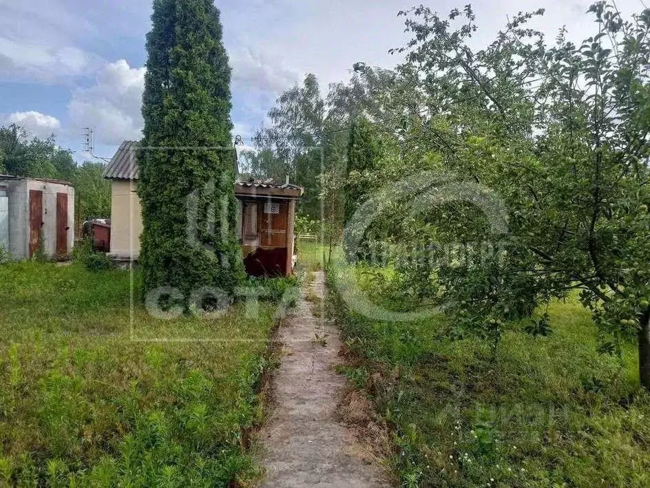 Дом в Воронежская область, с. Новая Усмань, Отрада СНТ ул. Луговая (15 ... - Фото 2