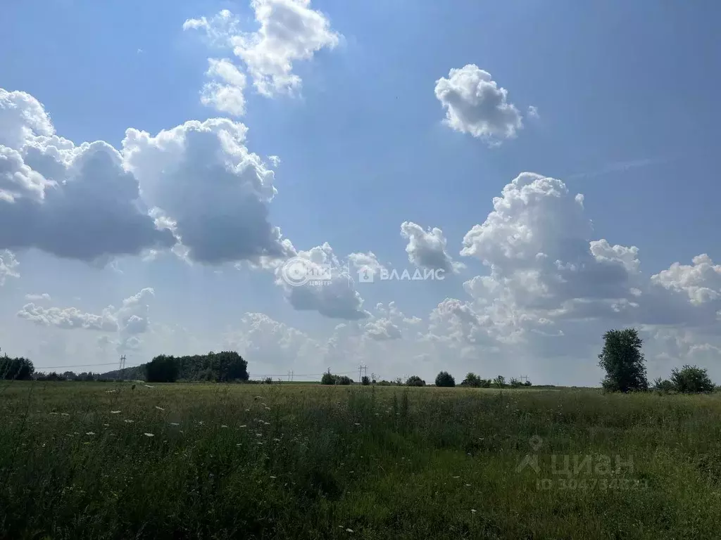 Участок в Воронежская область, Верхнехавский район, Большеприваловское ... - Фото 0