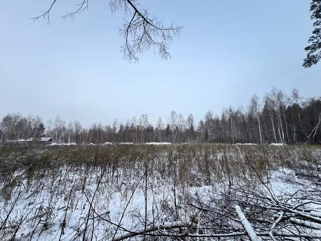 Участок в Московская область, Коломна городской округ, с. Северское  ... - Фото 0