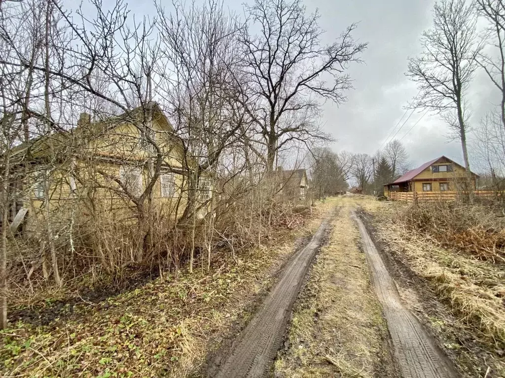 Дом в Псковская область, Гдовский муниципальный округ, д. Кануновщина  ... - Фото 2