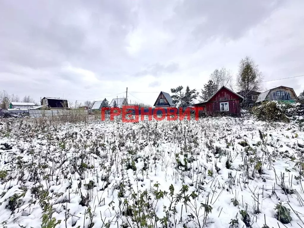Участок в Новосибирская область, Искитимский район, Мичуринский ... - Фото 2