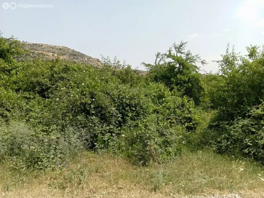 Участок в Старый Крым, улица Гаспринского, 72 (6 м) - Фото 1