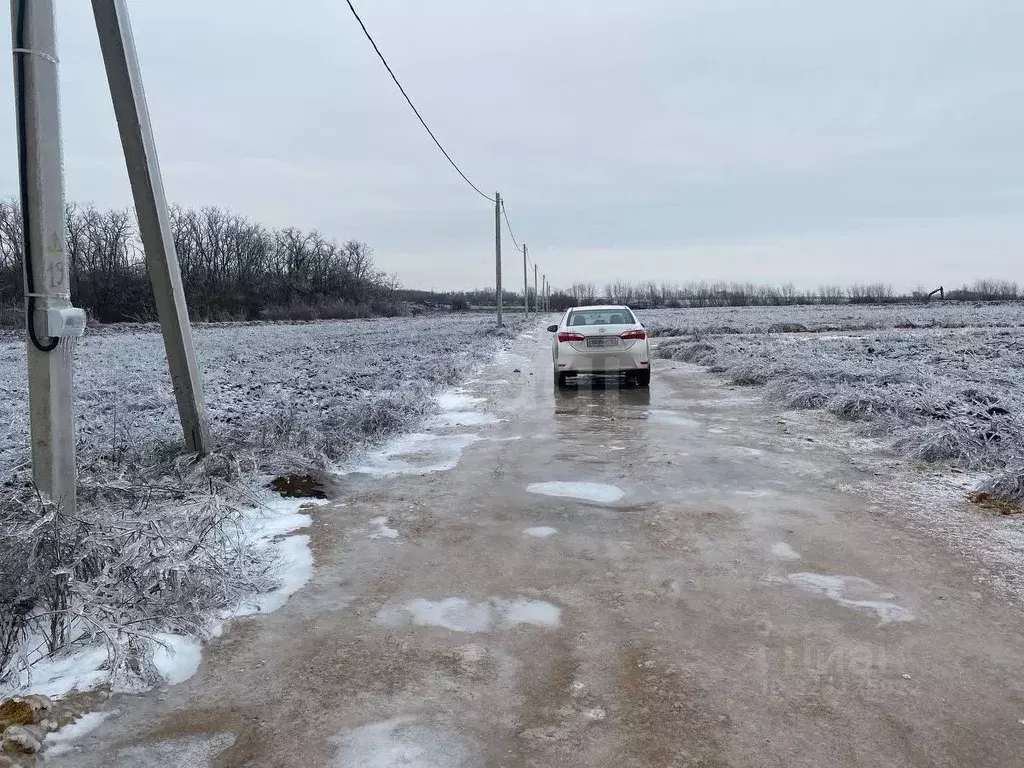 Участок в Ростовская область, Мясниковский район, Краснокрымское ... - Фото 1
