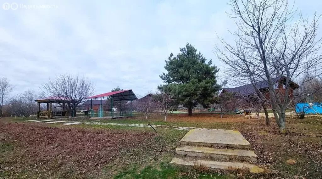 Помещение свободного назначения (996.7 м) - Фото 2