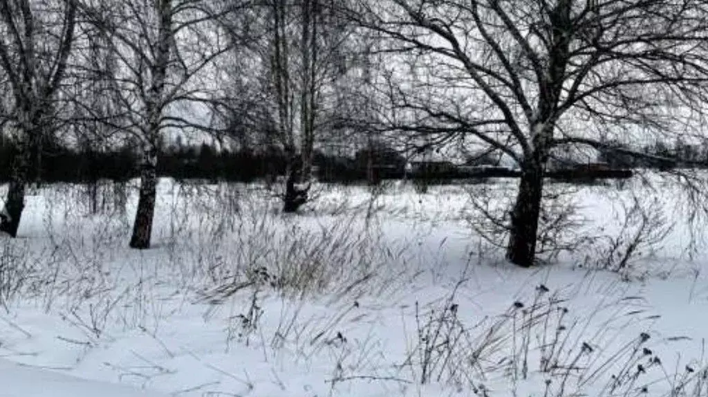 Участок в Московская область, Коломна городской округ, с. Никульское  ... - Фото 1