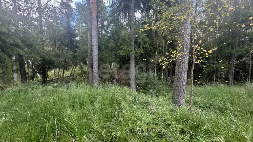 Участок в Всеволожск, улица Мужества (10 м) - Фото 2