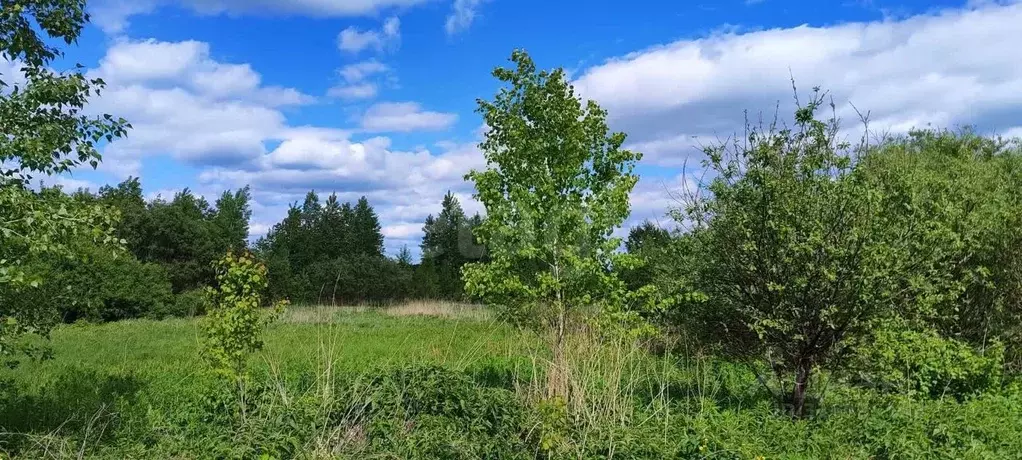 Участок в Кемеровская область, Кемеровский район, с. Березово ул. ... - Фото 0