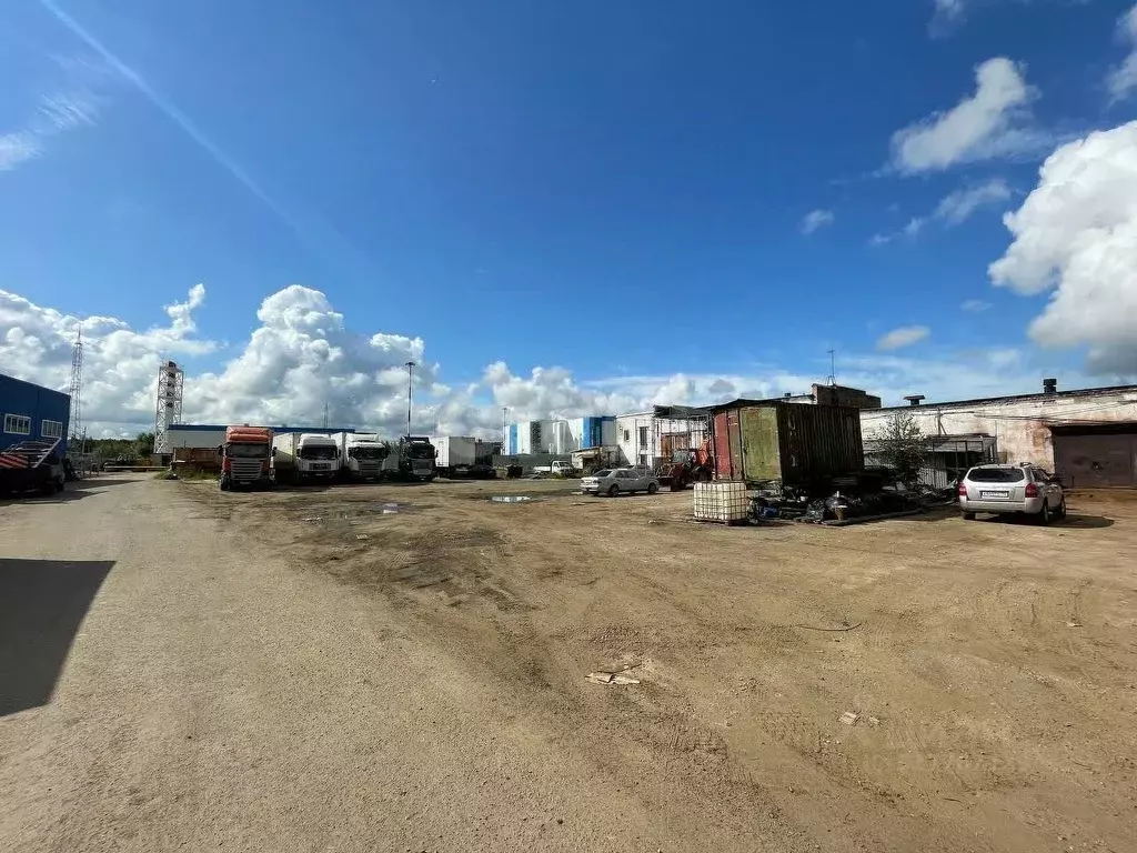 Участок в Московская область, Щелково Буровая ул., 21 (100.0 сот.) - Фото 0